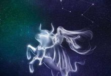 很有心机但只会用来爱自己的星座-云呼免费网页版试用|云呼网页免费版|云呼网页版|云呼系统|云呼在线试用