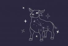 脸皮厚还不要脸,天下无敌的星座-云呼免费网页版试用|云呼网页免费版|云呼网页版|云呼系统|云呼在线试用