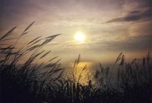 爱定目标却又碌碌无为的三个星座-云呼免费网页版试用|云呼网页免费版|云呼网页版|云呼系统|云呼在线试用