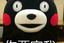 只能宠不能凶，要小心翼翼对待的星座-云呼免费网页版试用|云呼网页免费版|云呼网页版|云呼系统|云呼在线试用