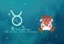 宠妻如命 女人可以依靠终身的星座男-云呼免费网页版试用|云呼网页免费版|云呼网页版|云呼系统|云呼在线试用