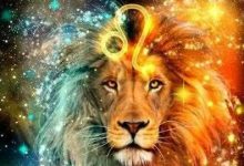 能力不够 脾气还大的三个星座-云呼免费网页版试用|云呼网页免费版|云呼网页版|云呼系统|云呼在线试用