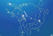 最值得托付终身的三个星座-云呼免费网页版试用|云呼网页免费版|云呼网页版|云呼系统|云呼在线试用