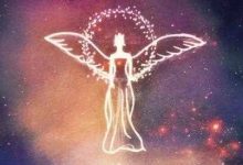 仪式感很强 生活非常精致的星座-云呼免费网页版试用|云呼网页免费版|云呼网页版|云呼系统|云呼在线试用