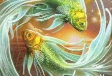 自愈能力最强 永远不会被打倒的星座-云呼免费网页版试用|云呼网页免费版|云呼网页版|云呼系统|云呼在线试用