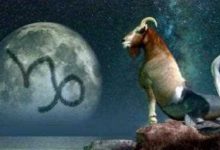 越努力就会越优秀的星座-云呼免费网页版试用|云呼网页免费版|云呼网页版|云呼系统|云呼在线试用