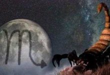 深谙人性 能够洞察人心的星座-云呼免费网页版试用|云呼网页免费版|云呼网页版|云呼系统|云呼在线试用