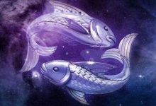 性格善良纯真 没什么心计的星座-云呼免费网页版试用|云呼网页免费版|云呼网页版|云呼系统|云呼在线试用