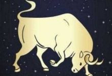 有钱了会提携亲朋好友的大腿星座-云呼免费网页版试用|云呼网页免费版|云呼网页版|云呼系统|云呼在线试用