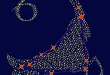 顾全大局 有奉献精神的星座-云呼免费网页版试用|云呼网页免费版|云呼网页版|云呼系统|云呼在线试用