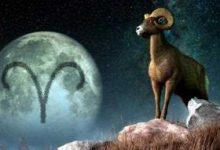 发起飙来六亲不认的星座-云呼免费网页版试用|云呼网页免费版|云呼网页版|云呼系统|云呼在线试用