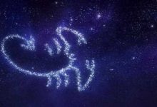 天生具备领导者能力的星座-云呼免费网页版试用|云呼网页免费版|云呼网页版|云呼系统|云呼在线试用