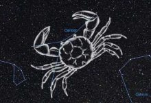 有社交恐惧症 超级慢热的星座-云呼免费网页版试用|云呼网页免费版|云呼网页版|云呼系统|云呼在线试用