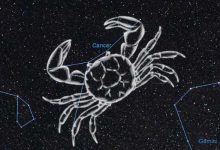 即使条件好也总自卑的星座-云呼免费网页版试用|云呼网页免费版|云呼网页版|云呼系统|云呼在线试用