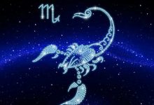 你不联系我 我绝不会主动搭理你的星座-云呼免费网页版试用|云呼网页免费版|云呼网页版|云呼系统|云呼在线试用